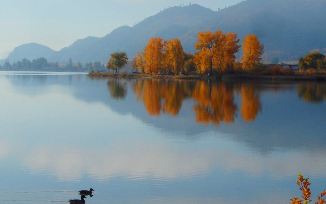 Okanagan Residents encouraged to get the most of their water use