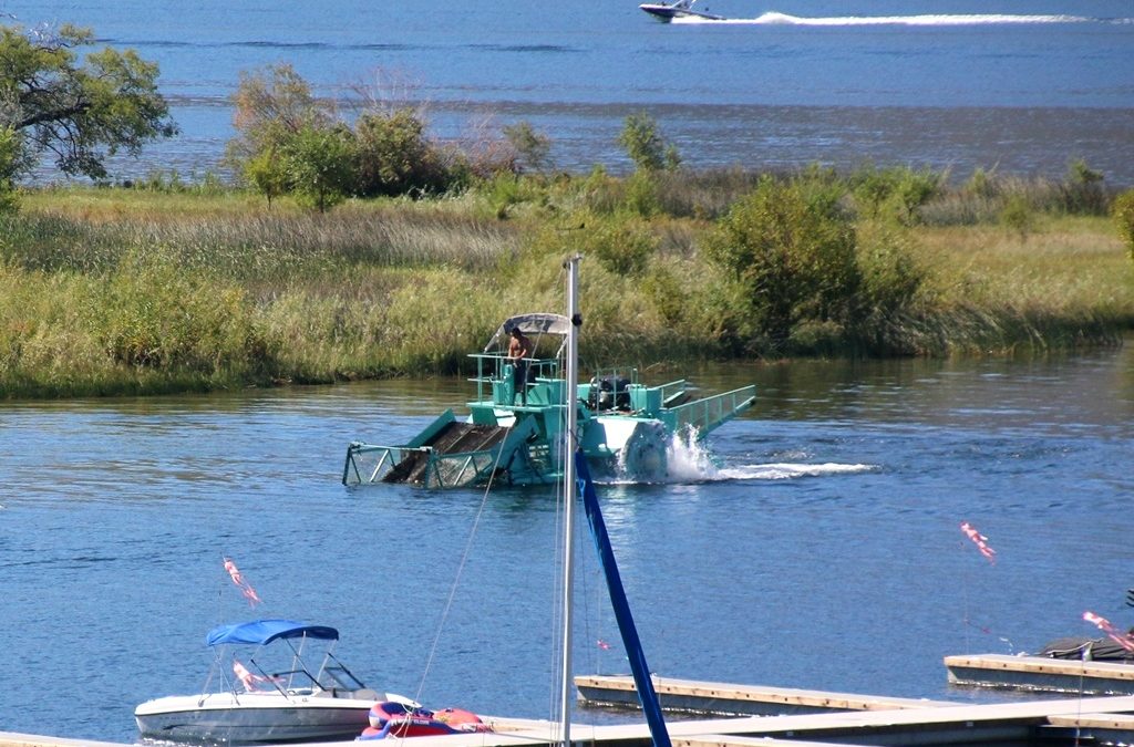 June 19 Update From The Okanagan Basin Water Board Obwb Regarding Milfoil Harvesting At Solana Bay On Osoyoos Lake Osoyoos Lake Water Quality Society