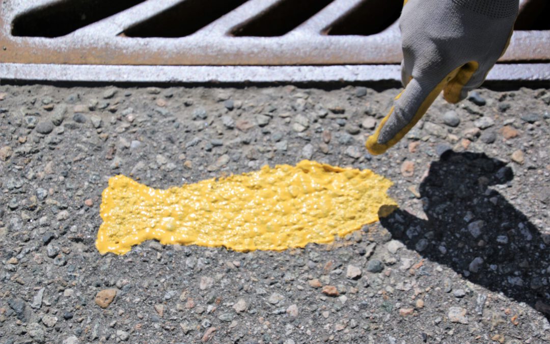 Yellow fish back at Osoyoos storm drains