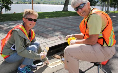 Another successful yellow fish repainting for  Town of Osoyoos