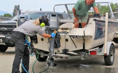 Pull-the-plug laws are being considered for boaters