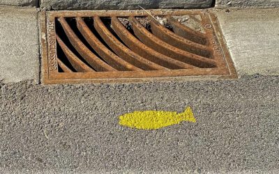 Painting Yellow Fish adjacent to storm sewers reminds Osoyoos residents to keep toxic substances out of Osoyoos Lake.