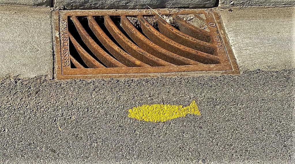 Painting Yellow Fish adjacent to storm sewers reminds Osoyoos residents to keep toxic substances out of Osoyoos Lake.