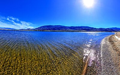 CHANGE OF VENUE for May 25th 1:00 PM AGM for the OLWQS with Guest Speaker Ryan Benson, a Fisheries Biologist with the Okanagan Nations Alliance