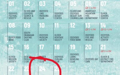 La Stella’s Winter Wonderland to raise funds for OLWQS