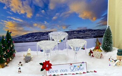 Kudos to La Stella Winery for supporting OLWQS