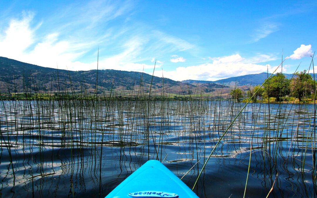 Okanagan Water Basin maxed out at Level 5 drought