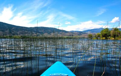 Okanagan Water Basin maxed out at Level 5 drought